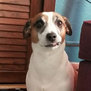 Meet your Posher, Troy